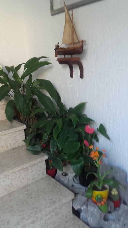 Apartment Bojana Novi Vinodolski Bagian luar foto