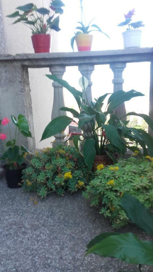 Apartment Bojana Novi Vinodolski Bagian luar foto